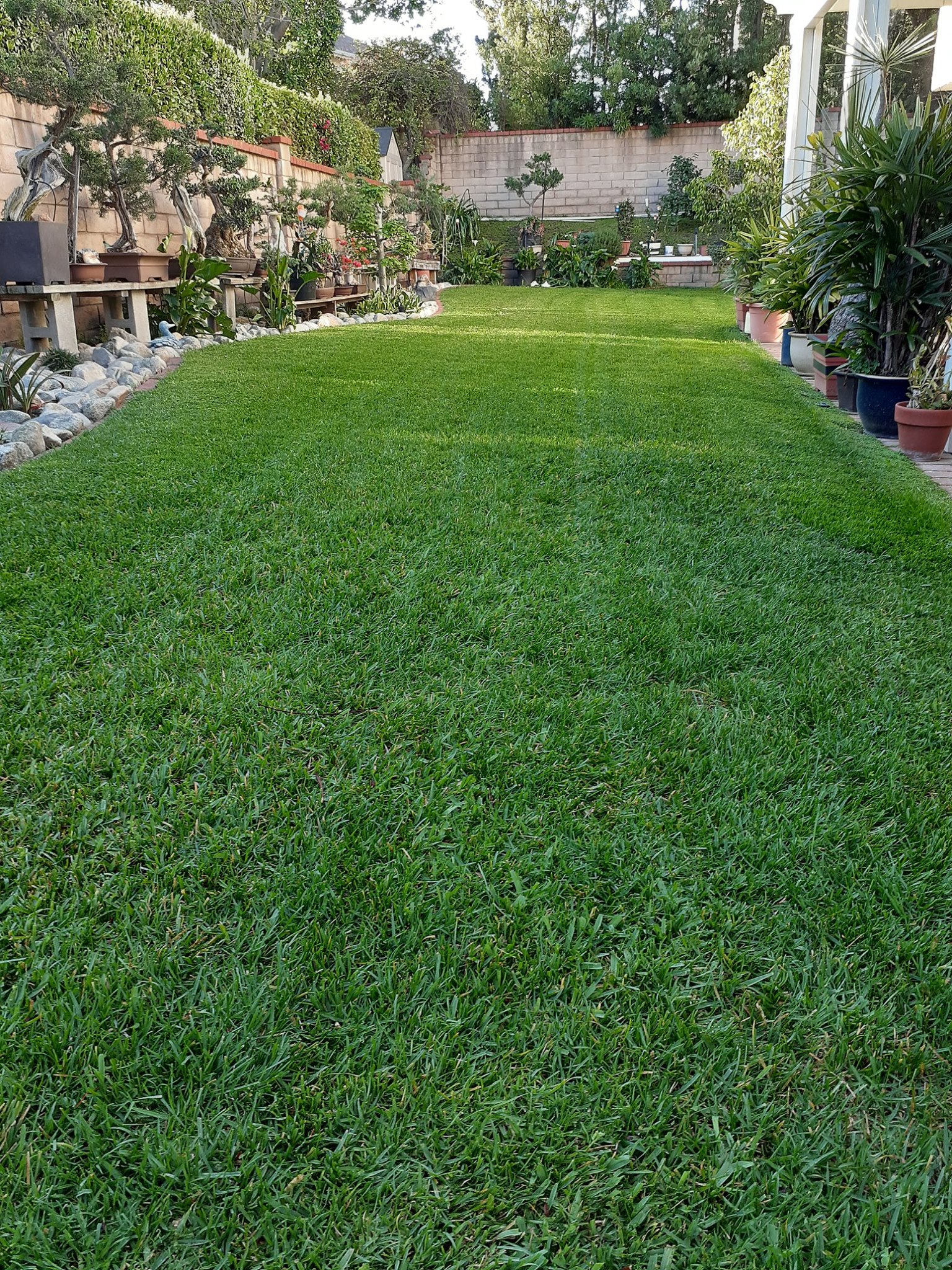 Lawn Care - lawncare/lc06.jpg