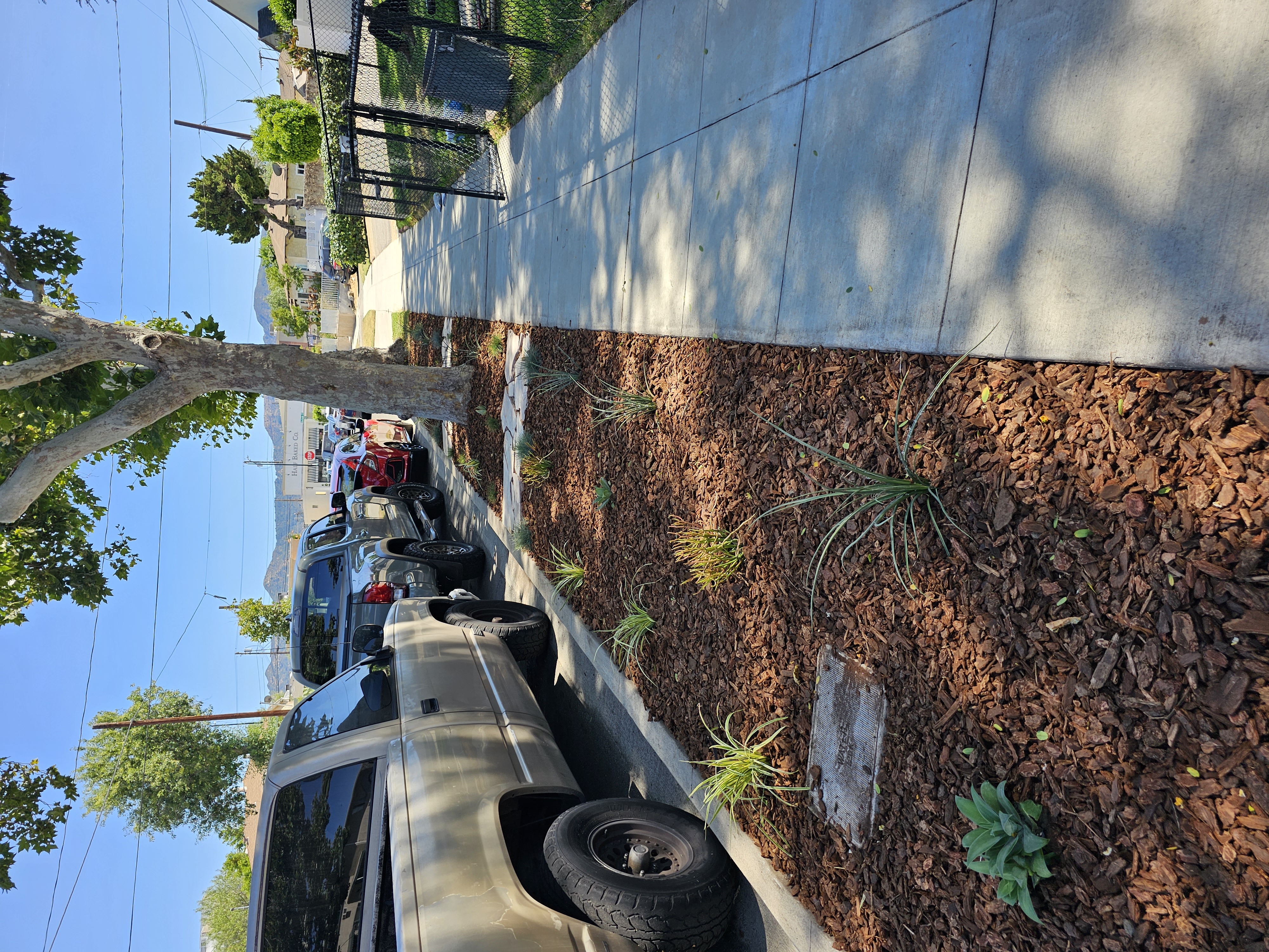 Mulching - mulching/mulching01.jpg